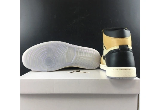 Fossil Air Premium WMNS 1 Jordan AH7389-003 Mushroom AH7389-003 High 0224